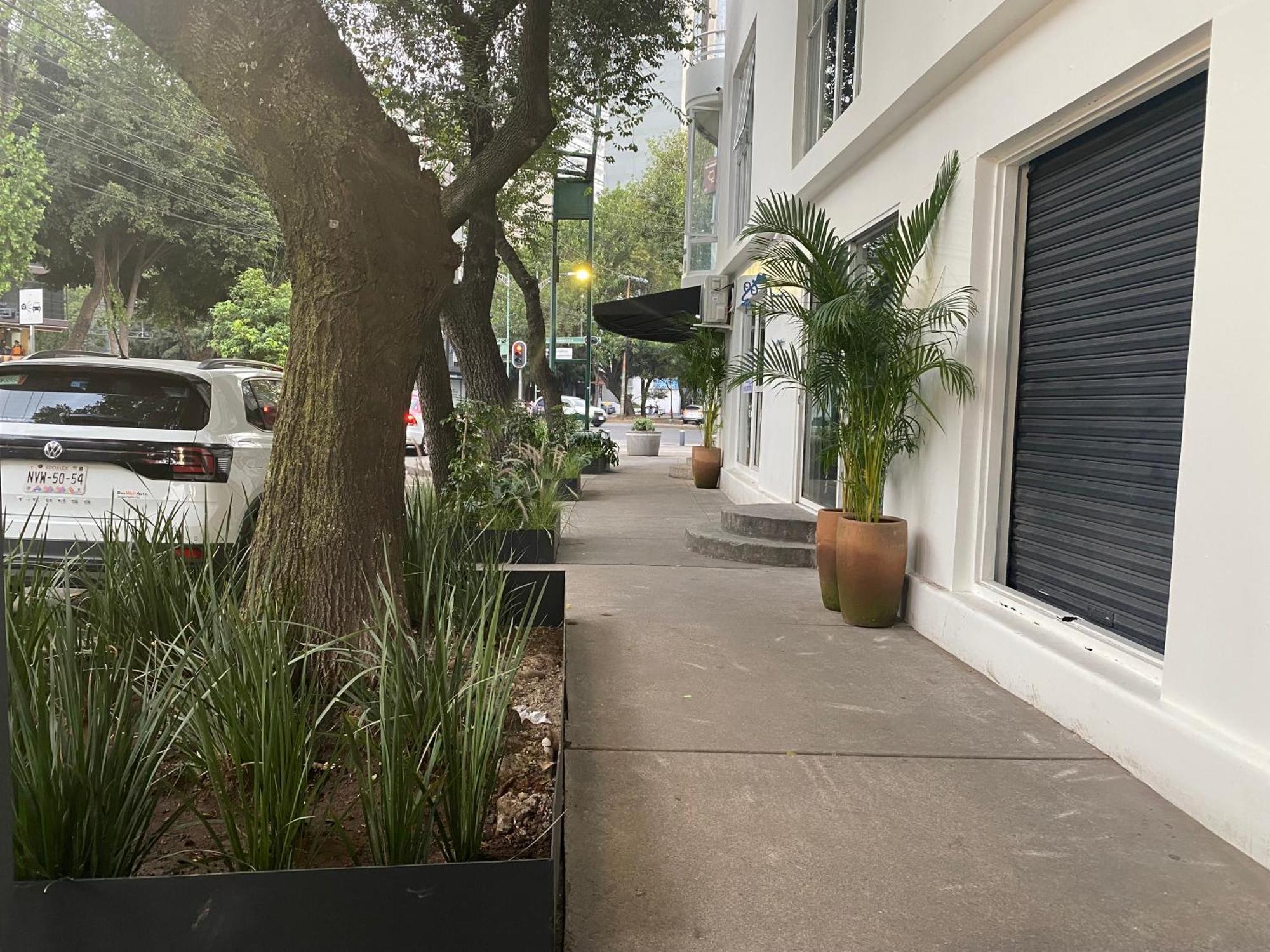 Casa Corp Boutique Suites In Condesa Мехико Экстерьер фото