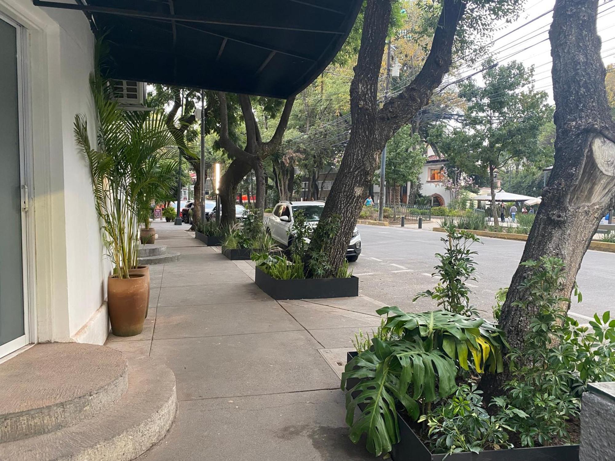 Casa Corp Boutique Suites In Condesa Мехико Экстерьер фото
